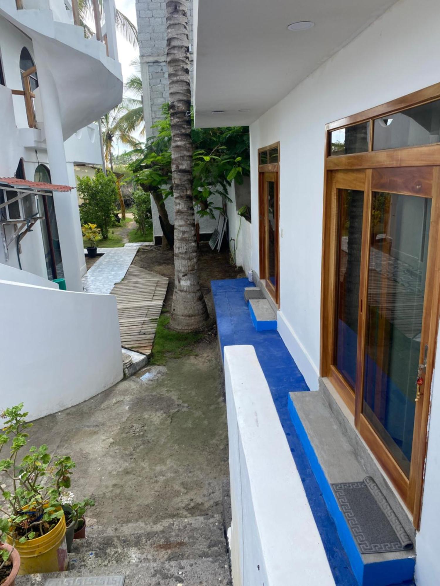 Hotel Penguin House Puerto Villamil Exteriér fotografie